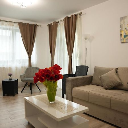 Brigitte Apartment براشوف المظهر الخارجي الصورة