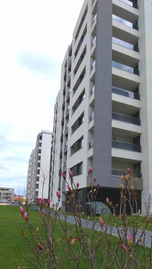 Brigitte Apartment براشوف المظهر الخارجي الصورة