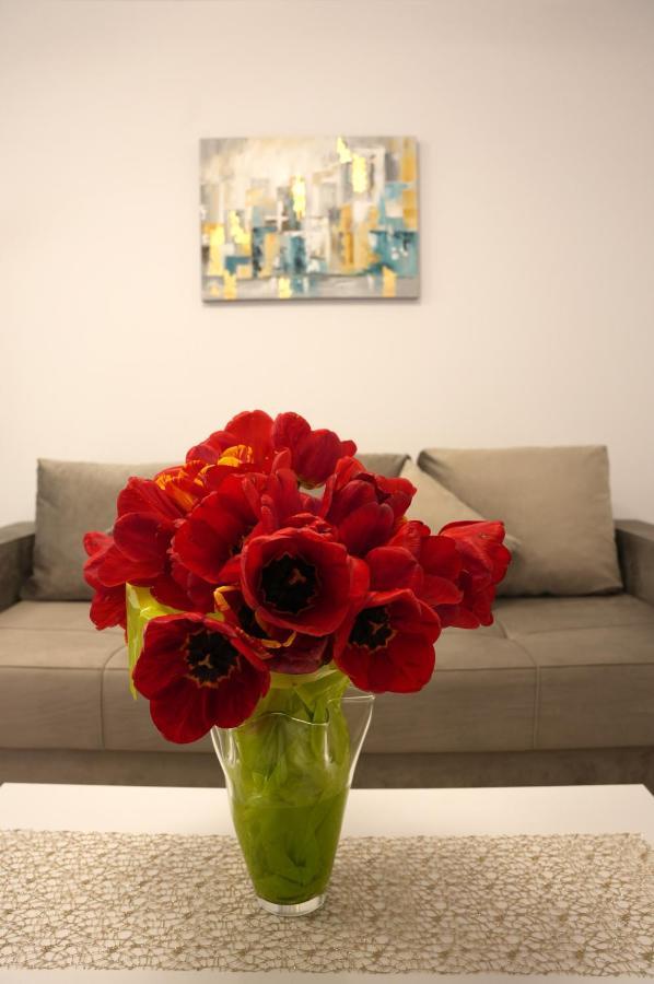 Brigitte Apartment براشوف المظهر الخارجي الصورة