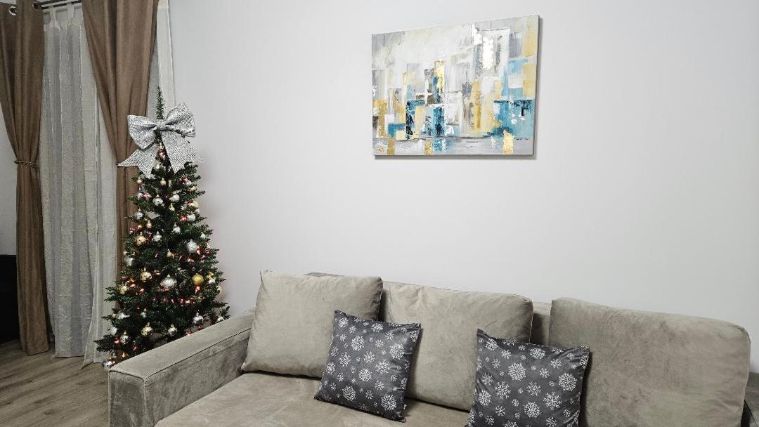 Brigitte Apartment براشوف المظهر الخارجي الصورة