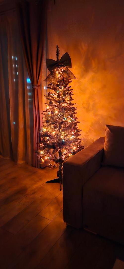 Brigitte Apartment براشوف المظهر الخارجي الصورة